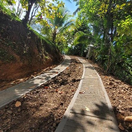 Private Jungle “Loft Del Rio” River Access Uvita Εξωτερικό φωτογραφία