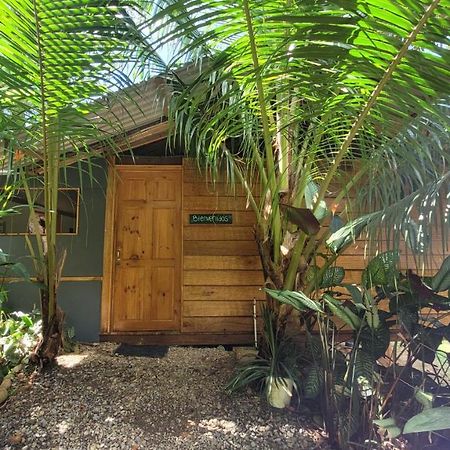 Private Jungle “Loft Del Rio” River Access Uvita Εξωτερικό φωτογραφία