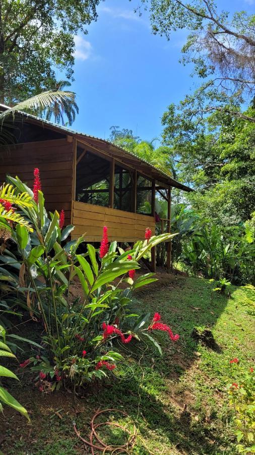 Private Jungle “Loft Del Rio” River Access Uvita Εξωτερικό φωτογραφία