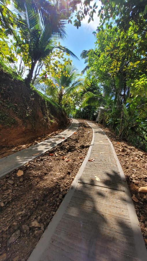 Private Jungle “Loft Del Rio” River Access Uvita Εξωτερικό φωτογραφία